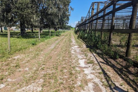 Land in Wimauma, Florida № 706559 - photo 8