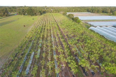 Land in Wimauma, Florida № 706559 - photo 3