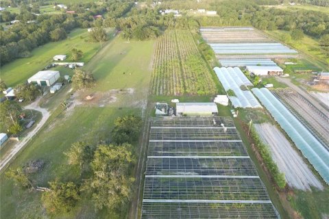 Land in Wimauma, Florida № 706559 - photo 7