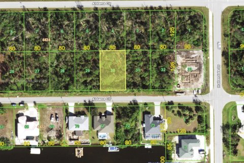 Land in Port Charlotte, Florida № 2158564