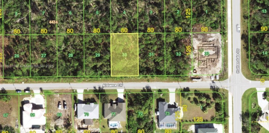 Land in Port Charlotte, Florida № 2158564