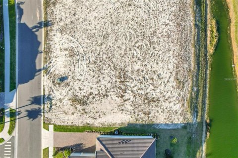 Land in Palm Coast, Florida № 1389296 - photo 3
