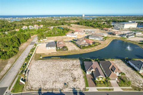 Land in Palm Coast, Florida № 1389296 - photo 5