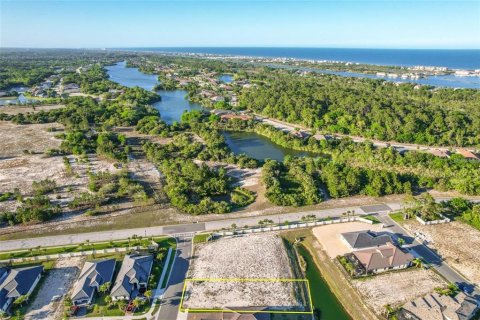 Land in Palm Coast, Florida № 1389296 - photo 8