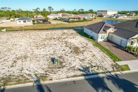 Land in Palm Coast, Florida № 1389296 - photo 9