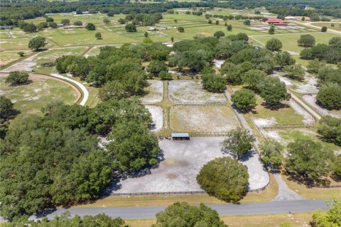 Villa ou maison à louer à Morriston, Floride: 4 chambres, 242.57 m2 № 2403468 - photo 18