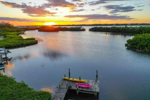 Villa ou maison à Palmetto, Floride 3 chambres, 307.13 m2 № 2101460