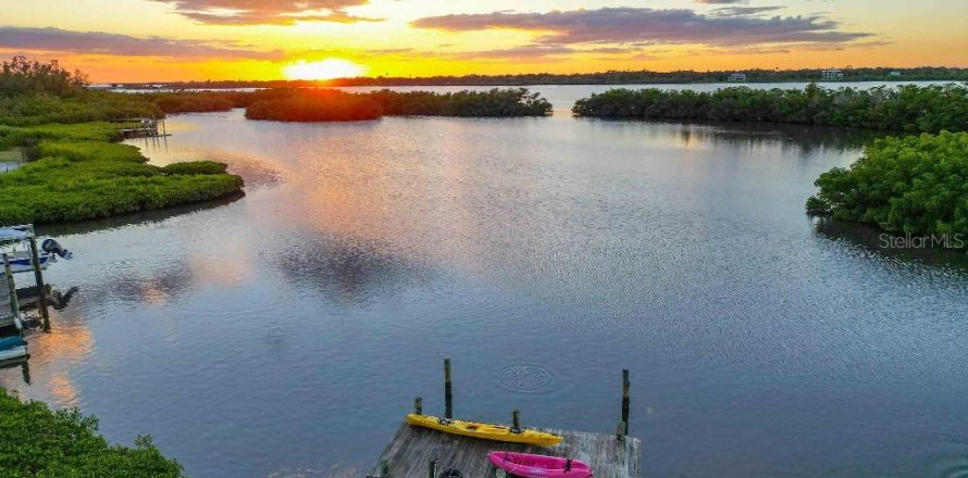 Casa en Palmetto, Florida 3 dormitorios, 307.13 m2 № 2101460