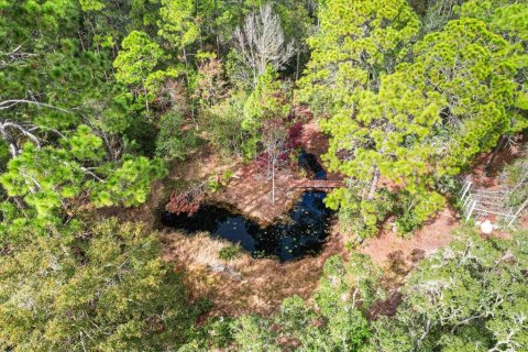Terrain à vendre à Homosassa, Floride № 1563073 - photo 8