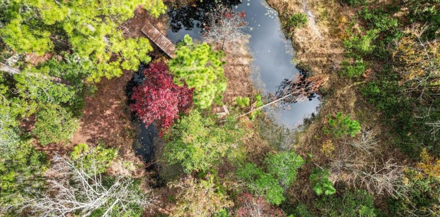 Terrain à Homosassa, Floride № 1563073