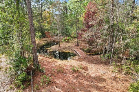 Terrain à vendre à Homosassa, Floride № 1563073 - photo 14