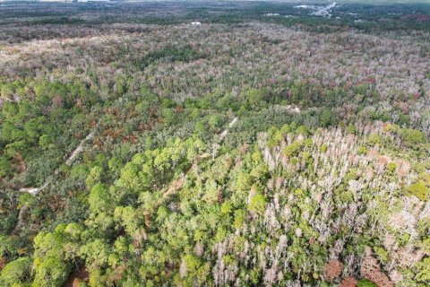 Terrain à vendre à Homosassa, Floride № 1563073 - photo 4