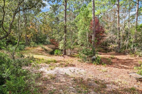 Terrain à vendre à Homosassa, Floride № 1563073 - photo 3