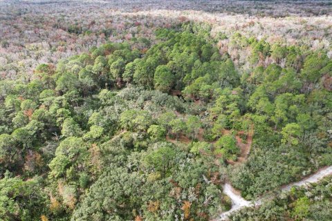 Terrain à vendre à Homosassa, Floride № 1563073 - photo 6