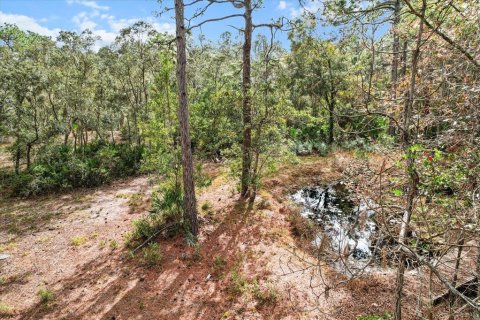 Terrain à vendre à Homosassa, Floride № 1563073 - photo 18