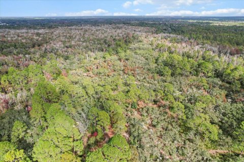 Terrain à vendre à Homosassa, Floride № 1563073 - photo 10