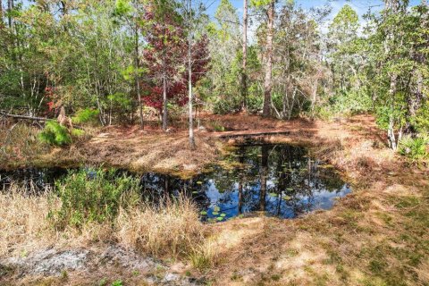 Terrain à vendre à Homosassa, Floride № 1563073 - photo 17