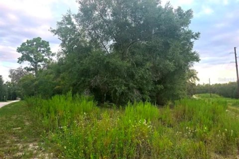Land in Dunnellon, Florida № 2160577 - photo 2