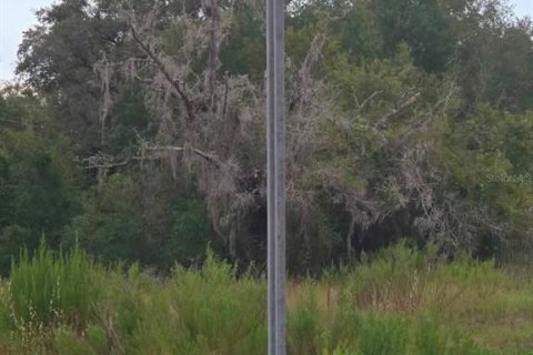 Land in Dunnellon, Florida № 2160577