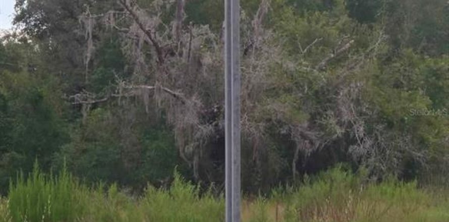 Land in Dunnellon, Florida № 2160577