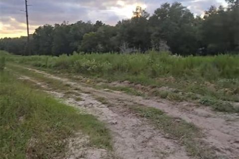 Land in Dunnellon, Florida № 2160577 - photo 6