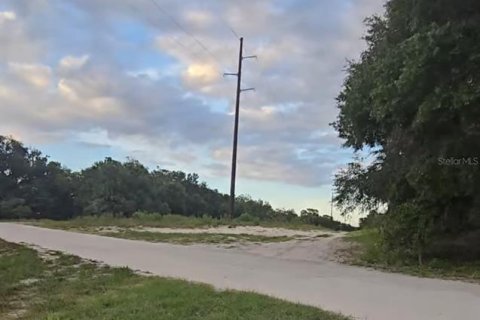 Land in Dunnellon, Florida № 2160577 - photo 5