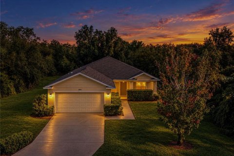 Villa ou maison à Lake Wales, Floride 3 chambres, 138.42 m2 № 2431760