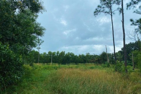 Land in Jupiter, Florida № 680505 - photo 1