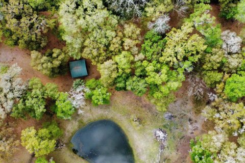 Casa en venta en Webster, Florida, 2 dormitorios, 115.94 m2 № 1053778 - foto 3