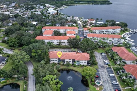 Condo à Tarpon Springs, Floride, 2 chambres  № 2413768
