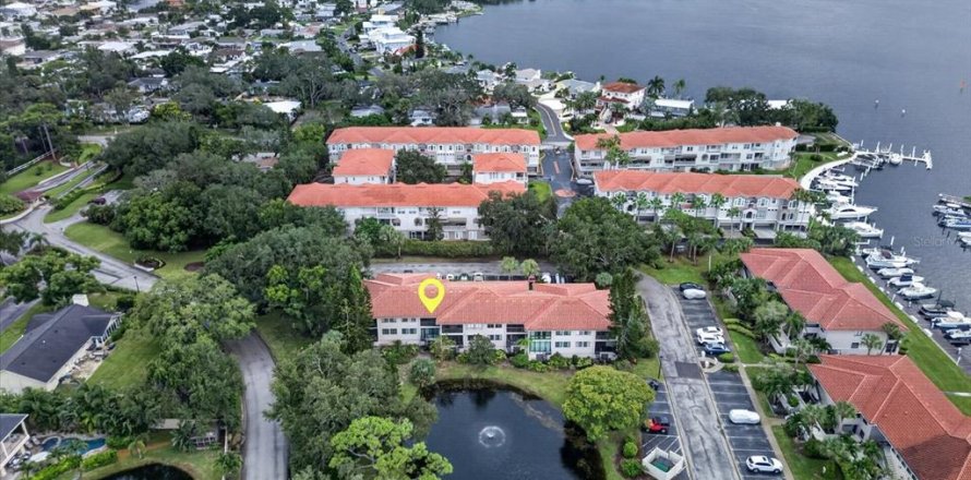 Condo à Tarpon Springs, Floride, 2 chambres  № 2413768