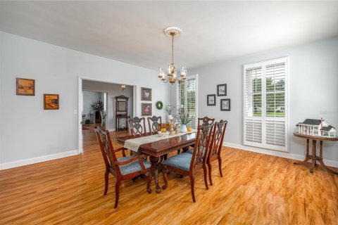House in Fort Meade, Florida 4 bedrooms, 478.35 sq.m. № 2266717 - photo 14