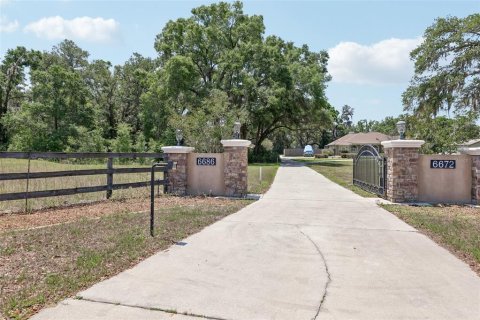 House in Summerfield, Florida 4 bedrooms, 355.82 sq.m. № 1687061 - photo 5