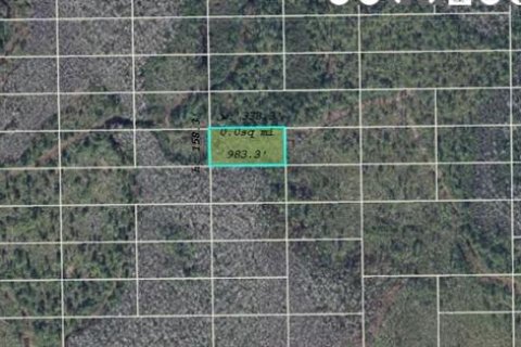 Land in Orlando, Florida № 2162049