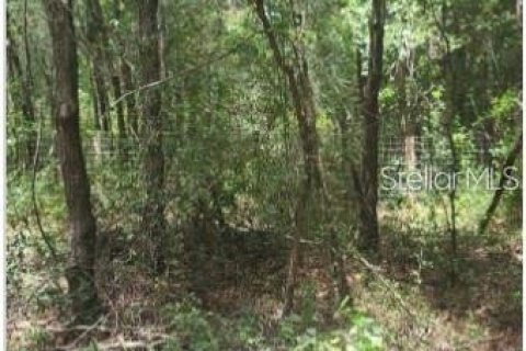 Land in Dunnellon, Florida № 2222487