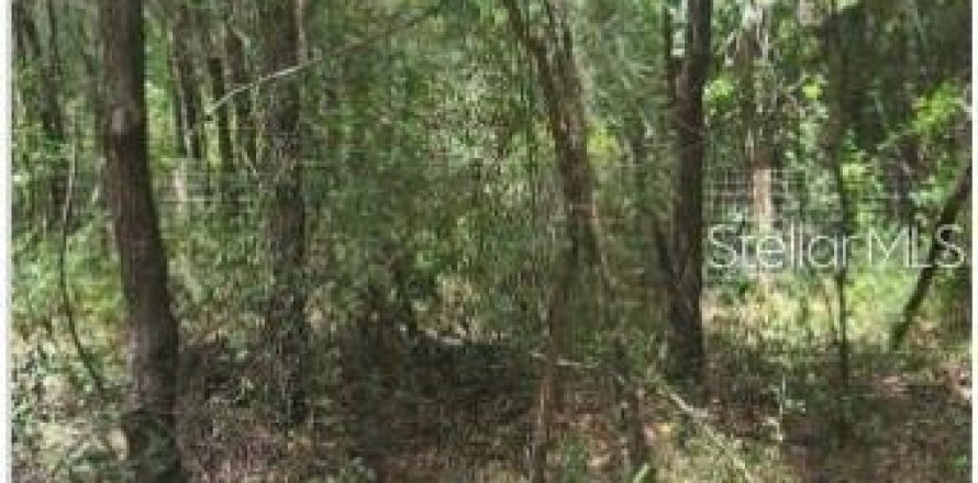 Land in Dunnellon, Florida № 2222487