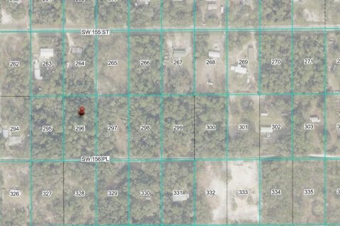 Land in Dunnellon, Florida № 2222487 - photo 4