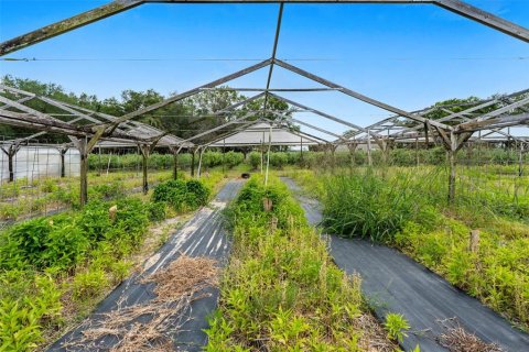 Commercial property in Lake Wales, Florida № 2214277 - photo 21