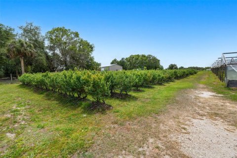Commercial property in Lake Wales, Florida № 2214277 - photo 15