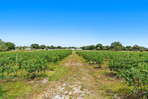 Commercial property in Lake Wales, Florida № 2214277 - photo 18