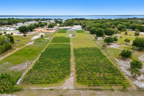 Commercial property in Lake Wales, Florida № 2214277 - photo 8