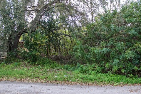 Propiedad comercial en venta en Lakeland, Florida, 2 dormitorios, 96.15 m2 № 1811004 - foto 3