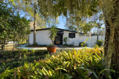 House in Temple Terrace, Florida 4 bedrooms, 136.94 sq.m. № 1915334 - photo 23