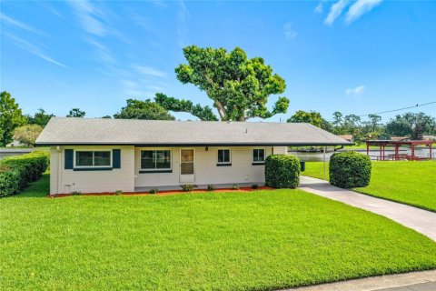 House in Tavares, Florida 3 bedrooms, 142.33 sq.m. № 2208547