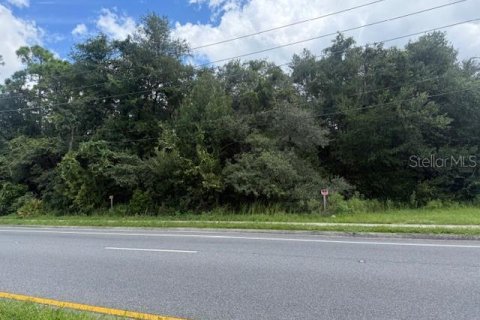 Купить земельный участок в Орландо, Флорида № 1908796 - фото 2