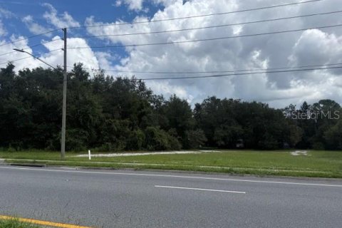 Купить земельный участок в Орландо, Флорида № 1908796 - фото 3