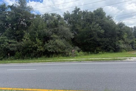 Купить земельный участок в Орландо, Флорида № 1908796 - фото 1