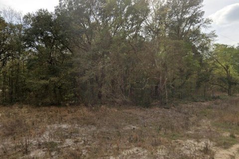 Terrain à vendre à Interlachen, Floride № 2195498 - photo 2