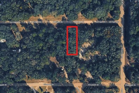 Terreno en Interlachen, Florida № 2195498