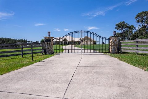 Casa en venta en Wildwood, Florida, 4 dormitorios, 283.44 m2 № 1287511 - foto 14